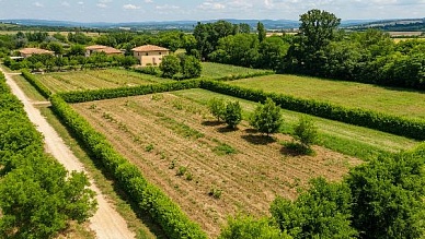 Оценка коммерческих участков